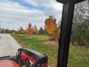 PXL_20231020_161735156