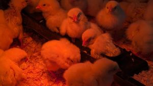 PXL_20240814_152230632