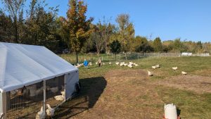 PXL_20241011_135409744