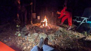 PXL_20241030_222828887